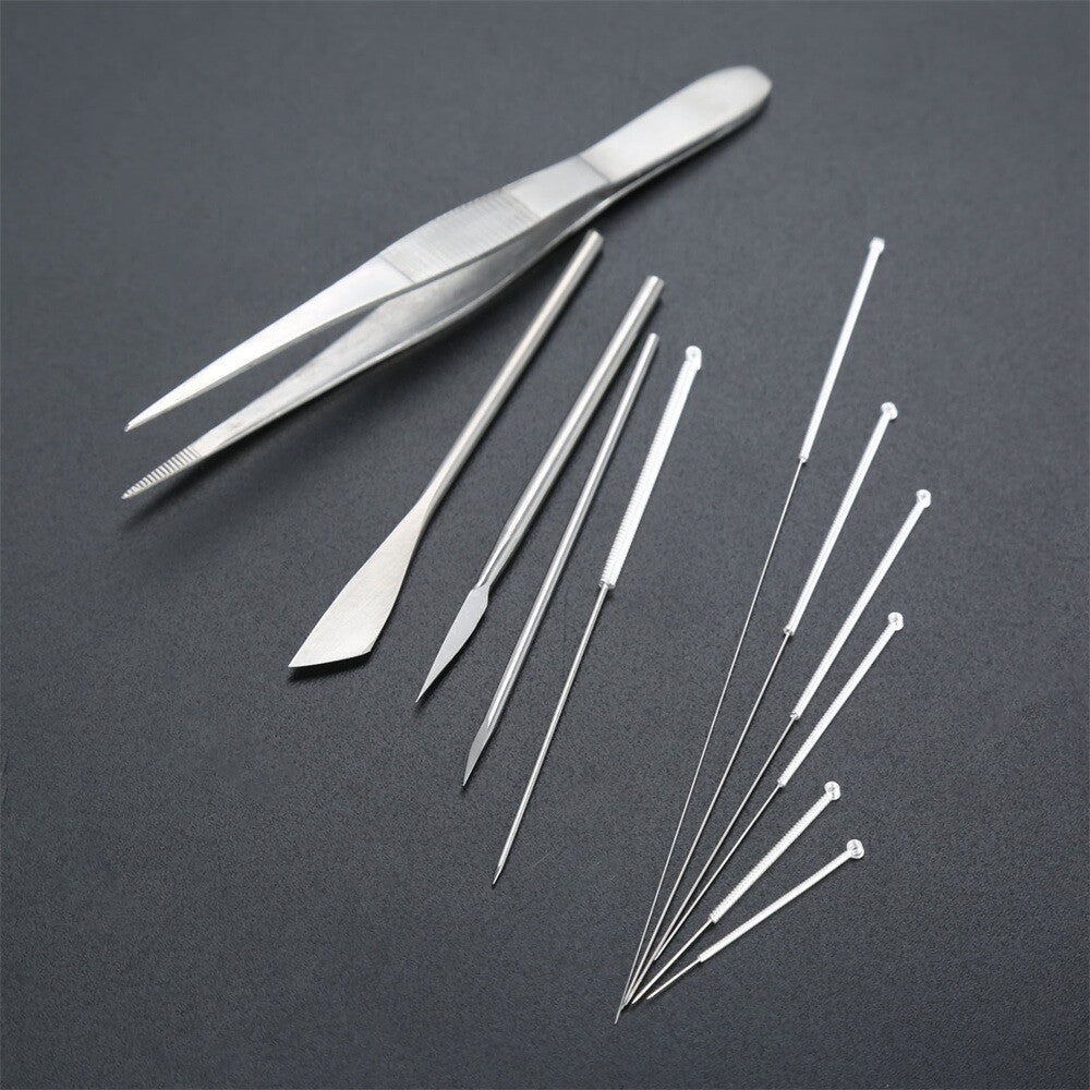 Stainless Steel Acupuncture Instrument Set Professional Acupuncture Tools Kit with Storage Box for Acupuncture Practitioners