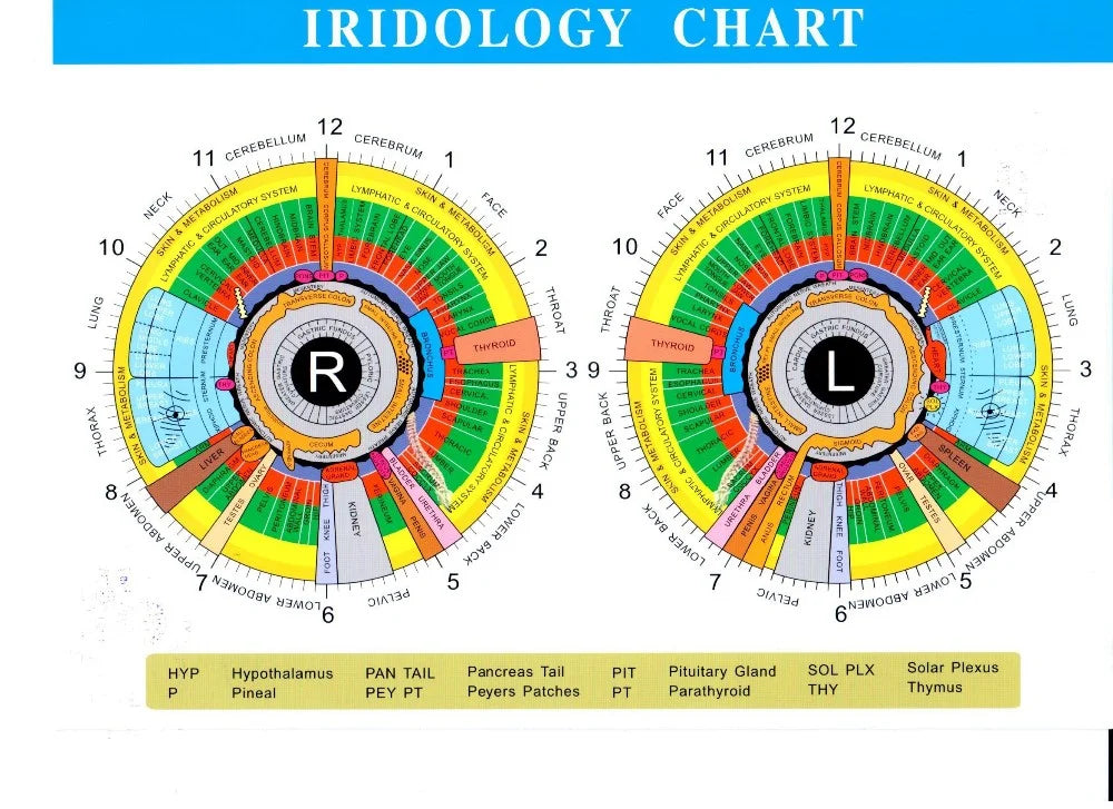 Portable Handheld Iris Scanner 12MP Digital Iriscope Analyzer Iridology Appliance Eye Camera Iris Scanner