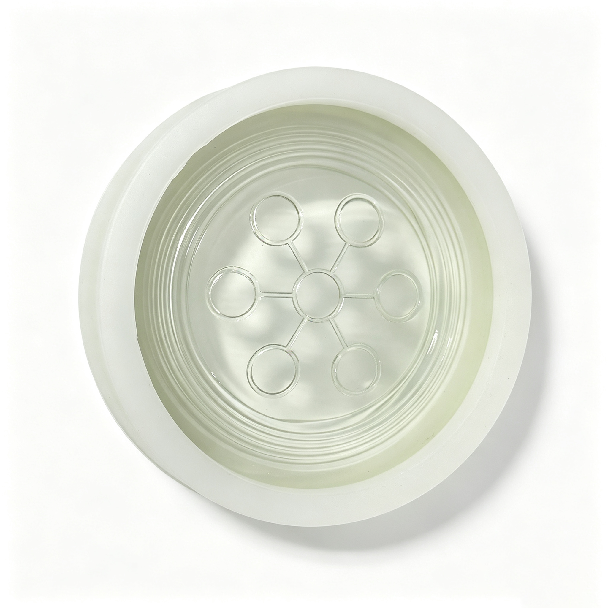 1PC Authentic Bio Disc 2 Scalar Energy Bio Disc Amazing Power Ion Energy Health Care Crystal Disc with Gift Box